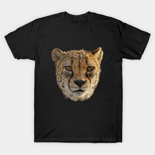 African Cheetah Wildlife T-Shirt by Just Kidding by Nadine May